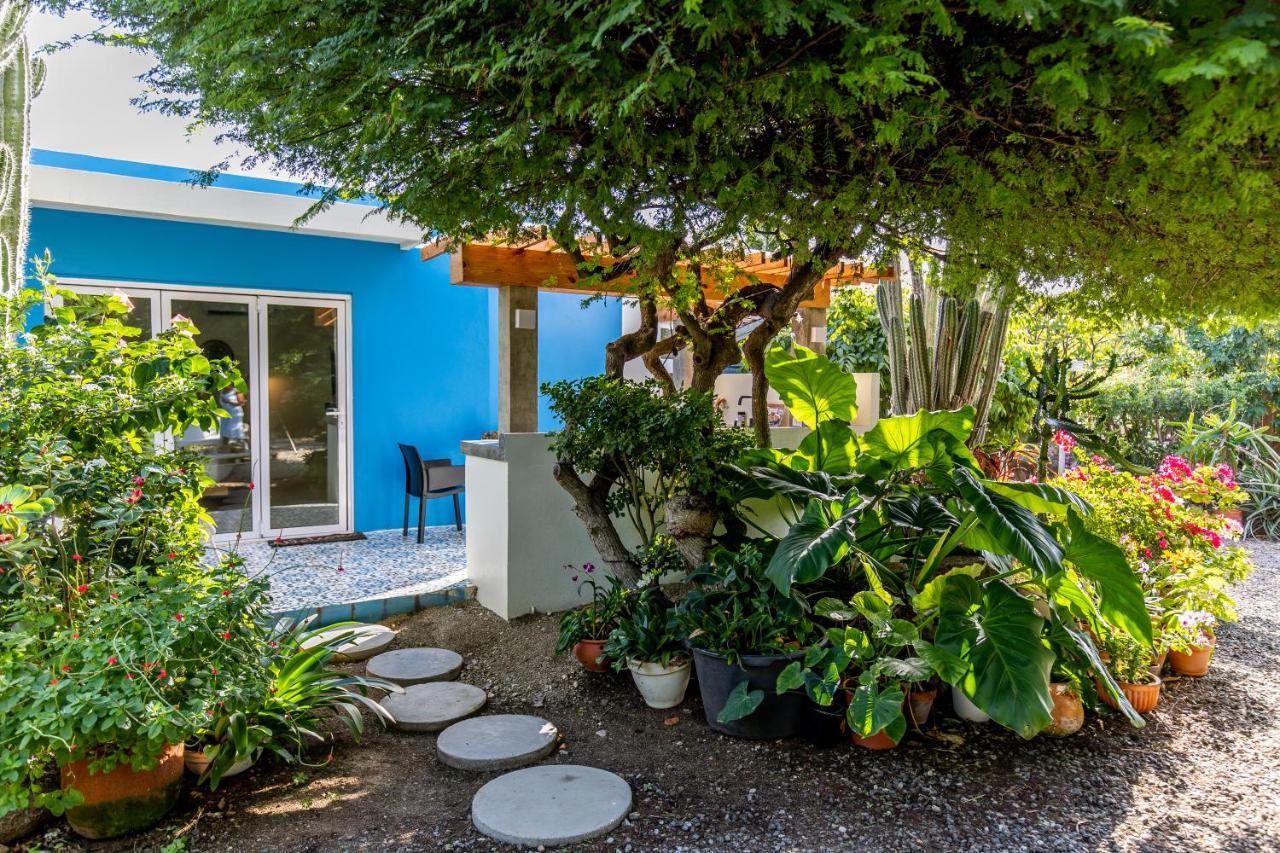 Naima Luxury Home, Cottage & Apartment Rentals Paradera Esterno foto